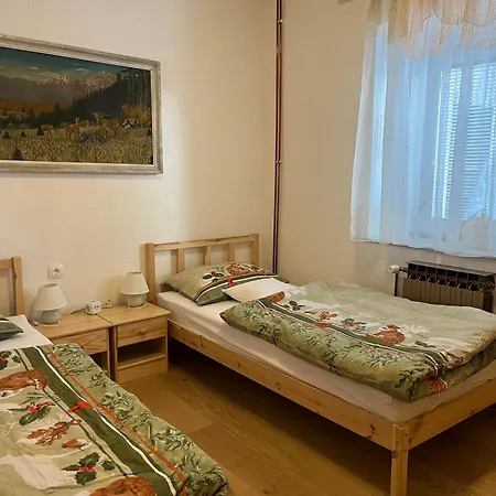 Apartmaji Pr' Matico דירה