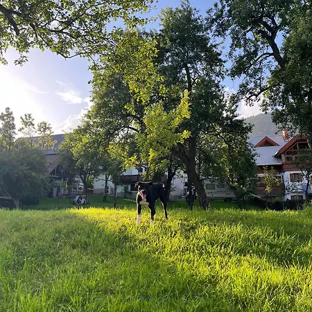 Apartmaji Pr' Matico Apartamento *