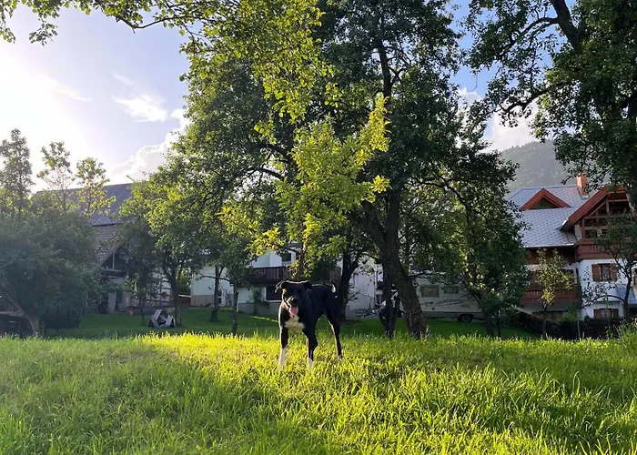 Apartmaji Pr' Matico Appartement *